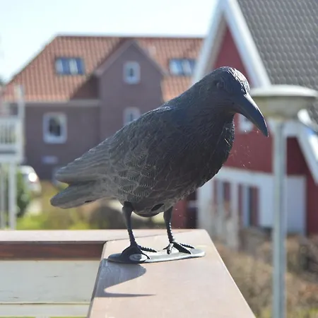 Sonnendeck *