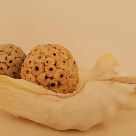 Sonnendeck Διαμέρισμα *