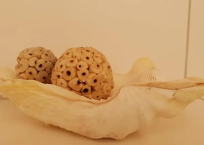 Sonnendeck Apartament *